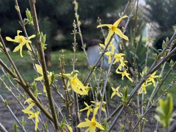 � ������ �����, ������ ����������� �������������� ������!