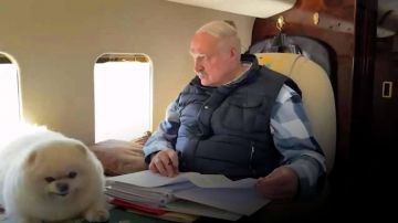 � ��������� �������� ������ �����, ������� �������� ����� �� ���������� �� ���� ����������