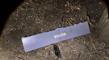 ����� ����� �� ������ ���� ��� ����������� � ������ ���� �� ��������� � 2025 �. � ��������