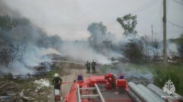 �� ����� � ��� ������������� 14 �������