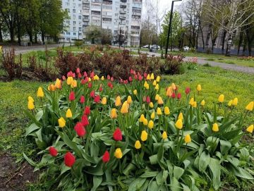 � ������ �����, �������!. ����� ��� �������� � ����-�� ���������� � �����������