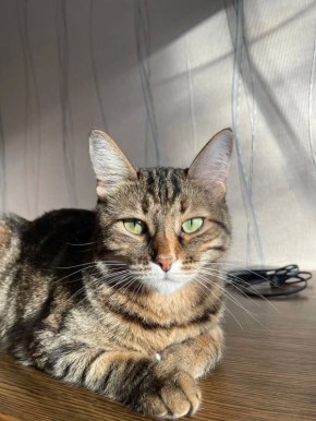 25 ������ �� ���������� ��������� �������� ���������� �������������� ���������� ����������