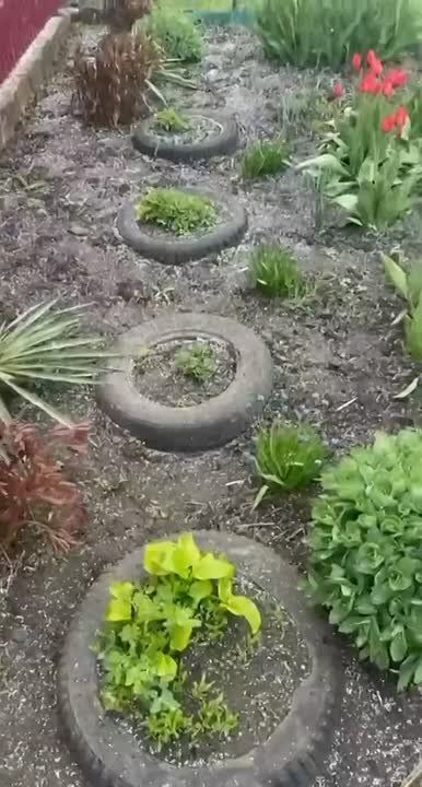 � ��� ���� �� ������ �������