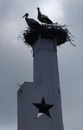 ������ ����! �������, 25 ������