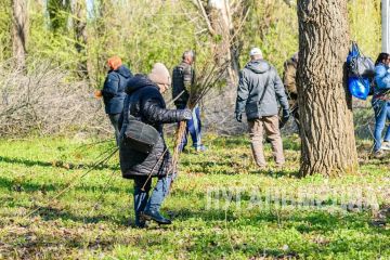 � �������� ������ ������������� ���������