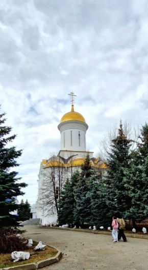 �����-��������� �������� ������� ���������