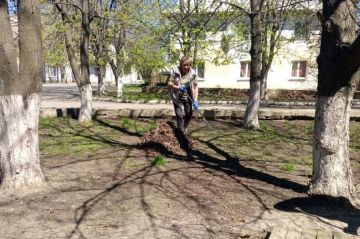 ������ �� ��������������� ������� � ��� �������������