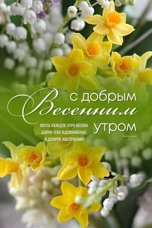 � ������ �����, ������������� �����!