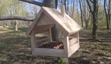 ������� ������� ��-���������� �������� � �������� ����