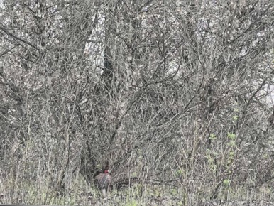 �����: ��� �� ������ � ������?