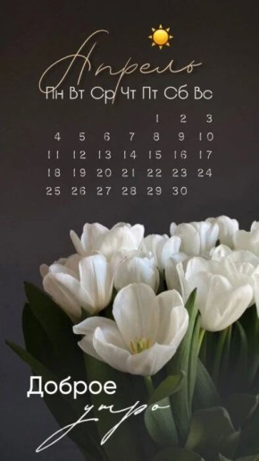 � ������ �����, ������������� �����!