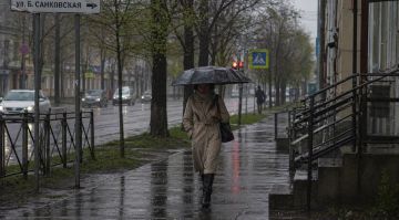 ��������� ������������ 28 ������ � ��� �� 13 �������� �����, �����, ���������