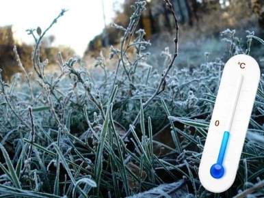 �������������� � ����������