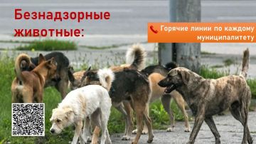 �������� ��������� ��� ������ ������ �� ������������ ��������