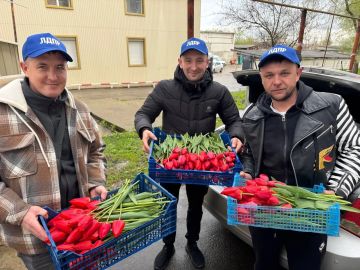 ������ - ���!. �����, ���������� ���������, �������� ������ �� ����� �����