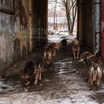 � ��� �������� �������� ��� ��������� � ������������ ��������