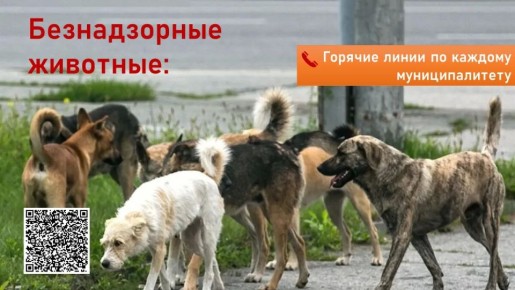 �������� ��������� ��� ������ ������ �� ������������ ��������