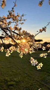 � ������ �����, ������� ������ �������������� �������������� ������!