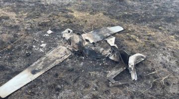 ��� ������ ���������� ����� 200 ��������� ������������� ����� � ����������