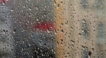 ��������� ������������ 29 ������ � ��� �� 16 �������� �����, �����, ���������