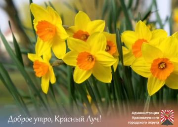 ������ ����, ������������! �� ��������� 28 ������, �������