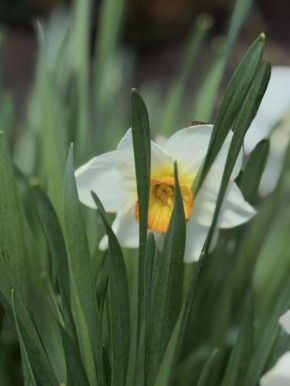 � ������ �����, ������ ����������� �������������� ������!