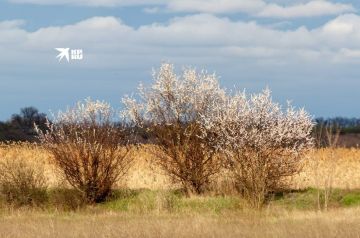 ������, ��� ��� ����� ���������� �� ����� ��� ����� ������