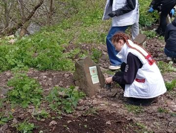 � ������ �������� ������ ���������, ����������� ��������������� ����� ����������� ������ ������� ������������� �����, ������������ �� ���������� ��������� ��������