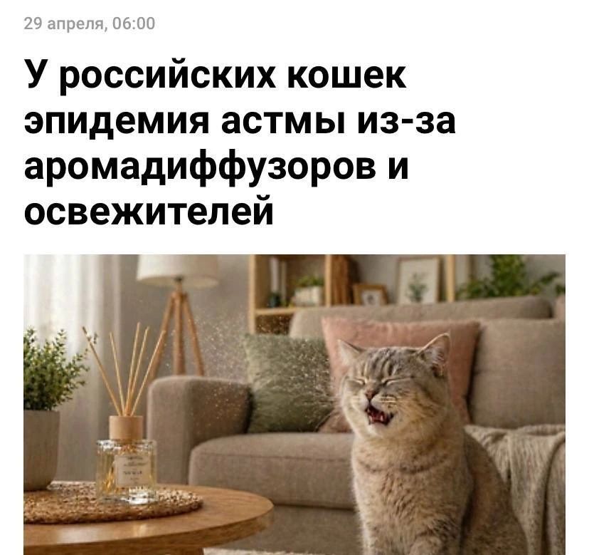 �������� ����� ������� ����� ������ ��-�� ���������� � �����������