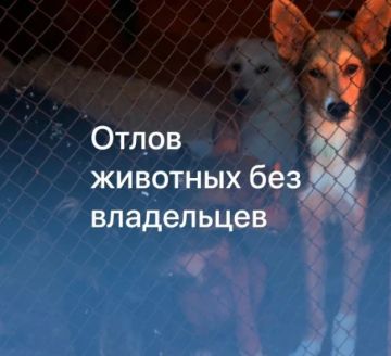 ���������� �� ������ �������� ��� ����������