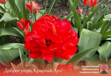 ������ ����, ������������ � ����� ������!