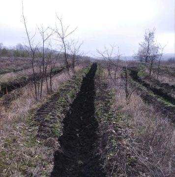 ����� 200 ������ ������ ����