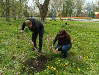 � ��������� ������ ����� �������� ������ ������� �������� � ������ ����� ���� ������