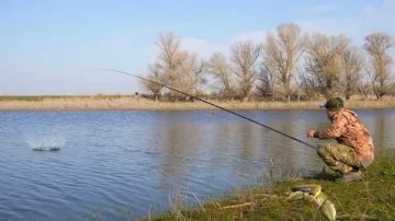 � ���������� ����������� ������ "������ ����"