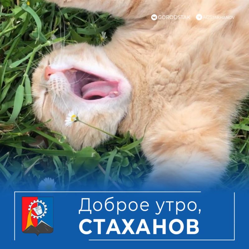 ������ ����, ��������!. ������ �� ��������� � ������������ ��� ����� �� ������