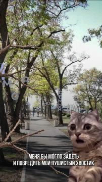 ����� �������� ����� �������?