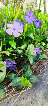 � ������ �����, ������ ����������� �������������� ������!