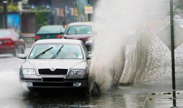 ���������, ������� �������� ��������� �� ���, ������ ����� ��� �����