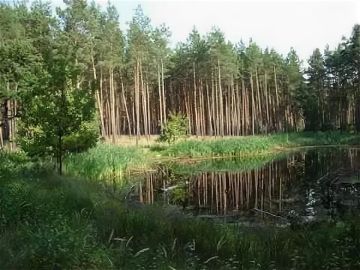 ����� 200 �� ������ ���� �������� � ���!