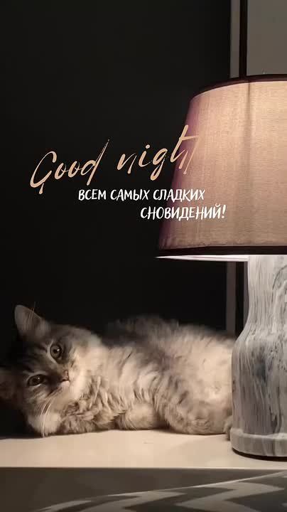������� ����� ����� � �������� � ���