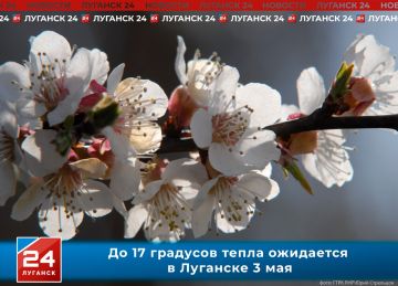 �� 17 �������� ����� ��������� � �������� � �����������, 3 ���