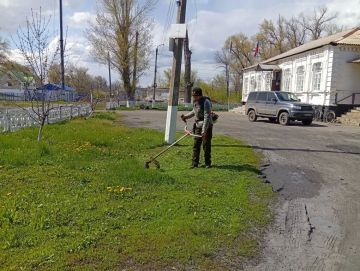 ������ ��������: ��������������� ������� ���������� ������ ������������