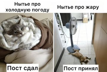 �� +24�C ����� ��� ������ � ���