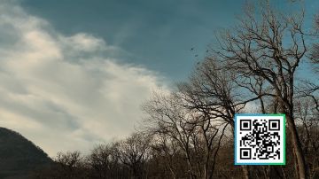 � ������ ������������ ������� ������������� ���������� ��������� ������ ��������� � ������ ���������� ��������������� ��� ����� ���������� � ����������� ������� ��������, ������, ����� � ������ ������� �����