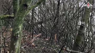 �������� �� �� ������� ������ ����� �� ������� ������� ���������� �������� � ����������� �������