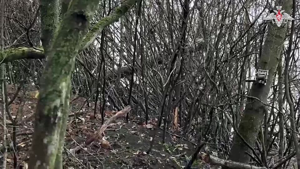 �������� �� �� ������� ������ ����� �� ������� ������� ���������� �������� � ����������� �������