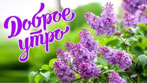 ������� ������� - 5 ���.. ������� � ������: