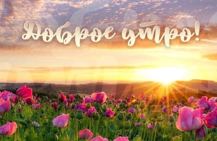 ������� ������� - 7 ���.. ������� � ������: