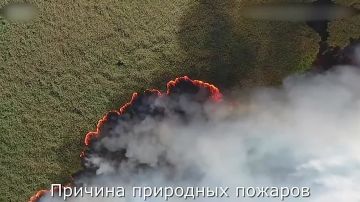 ����������, ��� �� ���������� ��� ��������� ������ ��������������� �����, ������� ���������� ���������������� � ��������� ��������������� ��� �����������