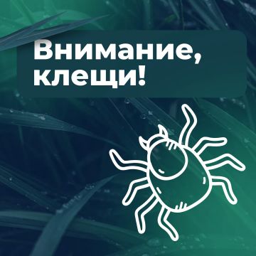���������: �����! ���� ������������ � ������������